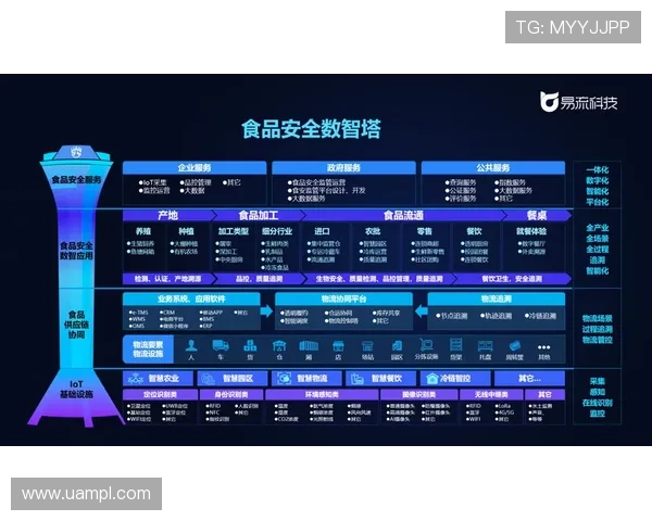 乐鱼电子在推动游戏行业数字化转型中的角色与贡献