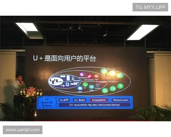 U体育官网下载官方渠道，避免假冒网站保障账号安全的详细步骤