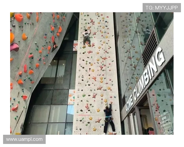 探索B体育网娱乐的丰富娱乐资源，提供专业的体育资讯和互动社区体验